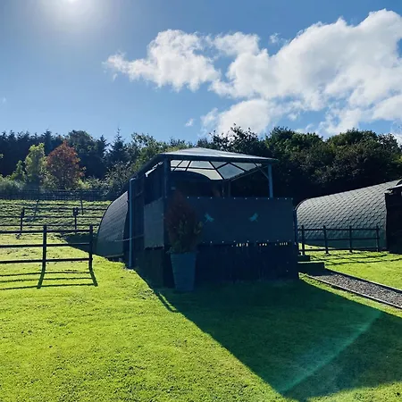 Acorns Luxury Glamping Hotel Holywell  Exterior photo