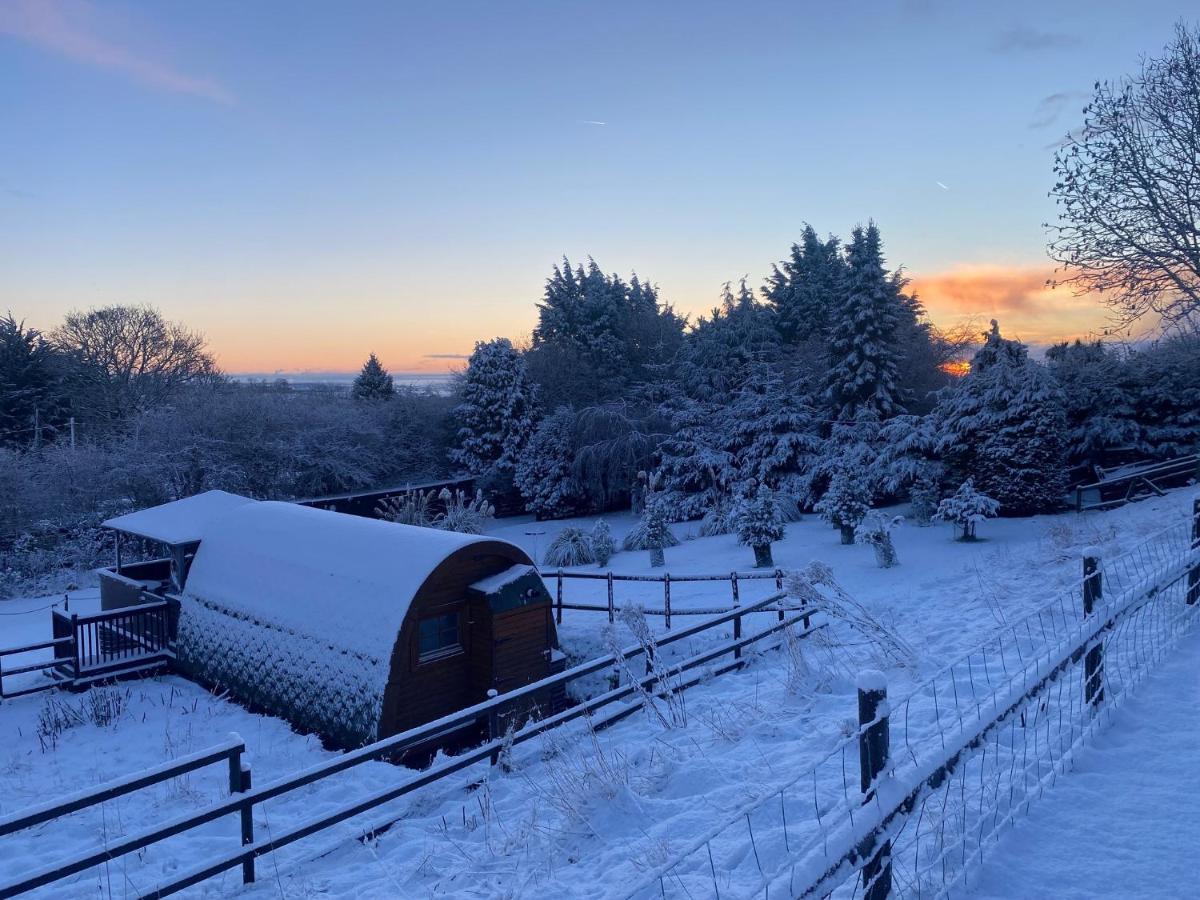 Acorns Luxury Glamping Campsite Holywell (Flintshire)