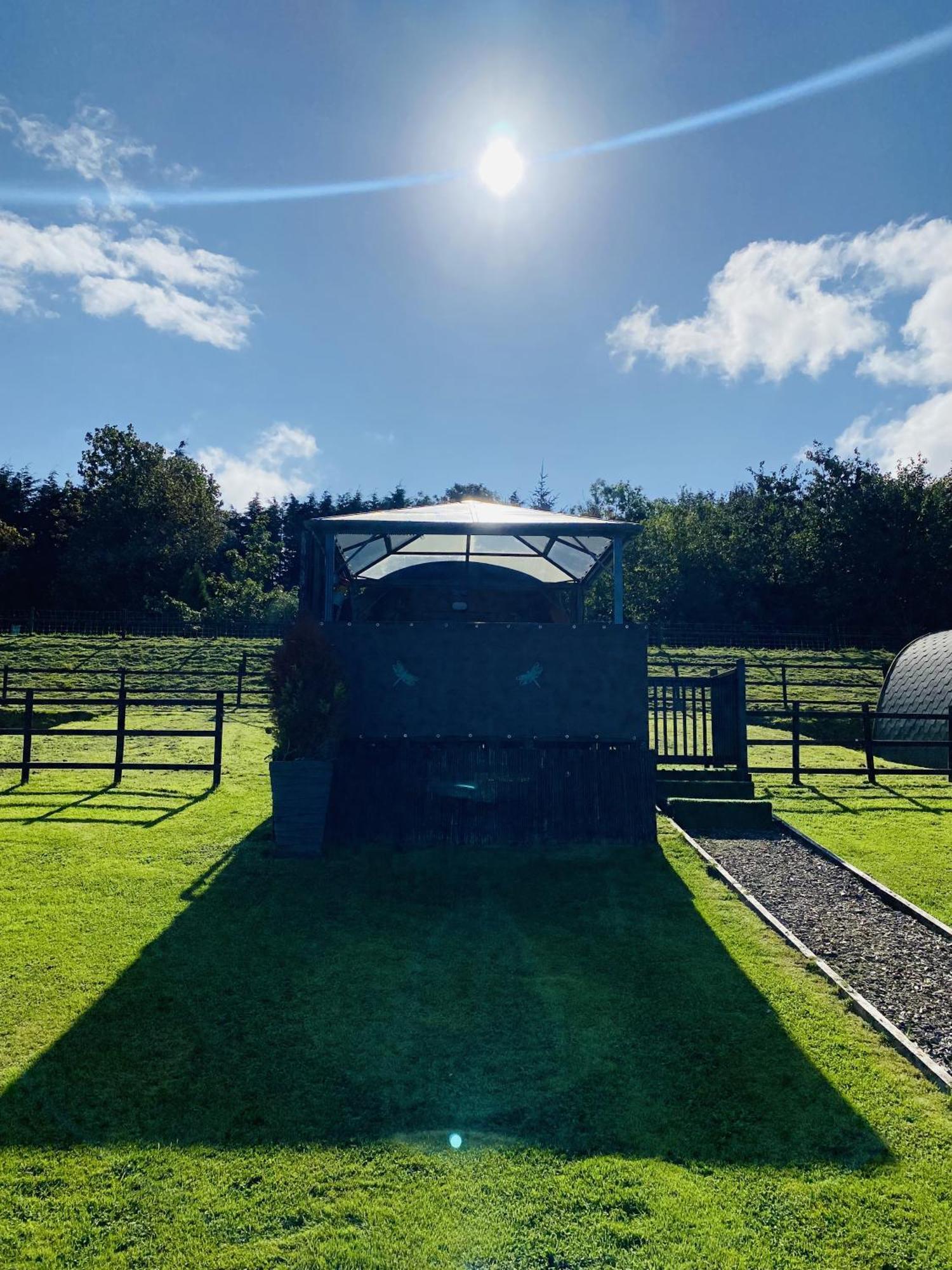 Acorns Luxury Glamping Campsite *